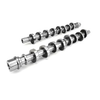 102100 Xtreme Energy 224/232 Cams for Ford 4.6/5.4L Modular 2 Valve