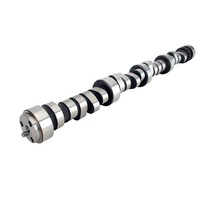 CHEV BBC CUSTOM CAM HYDRAULIC ROLLER 243/247 0.369"/0.372" LSA 107 COMP CAM