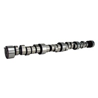 11-460-8 Magnum 244/244 Hydraulic Roller Cam for Chevrolet Big Block 396-454