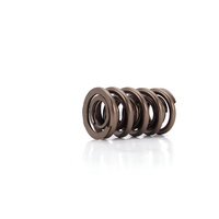 26115-1 Race Endurance 1.560" OD Dual Spring; 2.050" Installed Height; 1 Spring