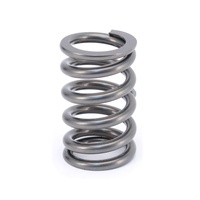 26975-1 Engine Valve Spring