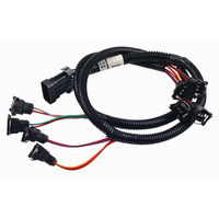 307013 Wiring Harness, Fast Fuel Inje Ctor