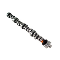 31-761-8 Magnum 262/262 Solid Roller Cam for Ford 221-302