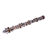 FORD BIG BLOCK BBF CUSTOM SOLID ROLLER  272/282  0.404"/0.415" LSA 114 FORD 429 460
