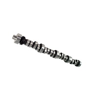 281HR Magnum Computer Controlled EFI 215/220 LSA 114 Hydraulic Roller Camshaft Ford 5.0L 302W Windsor