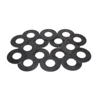 4738-16 Valve Spring Shim Kit - 1.480" OD, .765" ID .015" Thickness