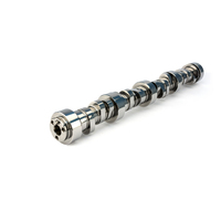 54-463-11 LSR Cathedral Port 247/255 Hydraulic Roller Cam for GM LS GEN III/IV