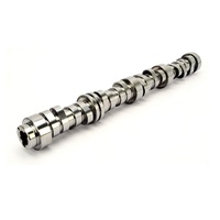 624-500-13 XFI AFM 212/224 D, 210/222 N Hydraulic Roller Cam for GM LT1 GEN V