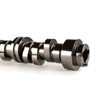 689-200-13 FSL AFM 208/220 D, 206/218 N Hydraulic Roller Cam for GM LS GEN IV