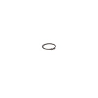 Upgraded Retaining Rings Evolution lifters