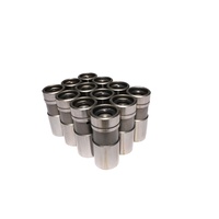 865-16 Pro Magnum Hydraulic Flat Lifter Set for Buick 350-455.