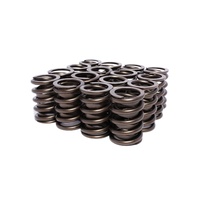 940-16 Engine Valve Springs Kit