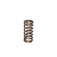974-1 Engine Valve Spring