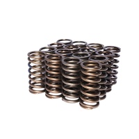 974-16 Engine Valve Spring Kit