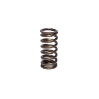 975-1 Engine Valve Spring