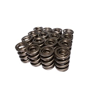 996-16 Engine Valve Spring Kit