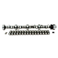 281HR FORD 5.0L 215/215 Hydraulic Roller Camshaft and Lifter Kit WINDSOR, large base circle