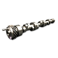 HOLDEN 304 5.0L V8 VN EFI HEADS CAMSHAFT HYDRAULIC ROLLER 230/234 0.563"/0.574" LSA 110 HR-230/352-2S-10