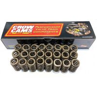 Barra Performance Conical Valve Springs- Set of 24