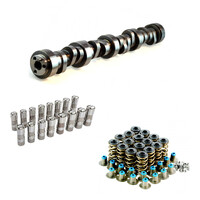 LS2 LS3 Cam Swap Basics Pack: Camshaft 226/236 LSA 113, lifters & dual spring kit