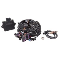 Edelbrock, Edelbrock Performance, Edelbrock USA, EFI, Pro-Flo 4 EFI, Chevy LS engine swaps, LS Engine, Chevy Gen III LS engine, ECU, electronic contro