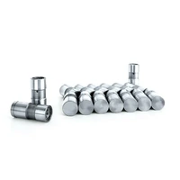 Genuine GM Chilled iron bottom, Hydraulic Flat Tappet Lifters Holden 253 308 V8 Red Blue Black, Pontiac V8Cold Face