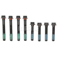 V6 Holden Commodore Cylinder Head Bolt Set (1 HEAD) 3.8 LG2 L27, LN3 L36, 3800, L67, ECOTEC 