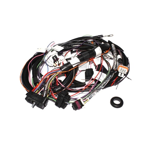 301972 XIM Wiring Harness for LS1/LS6