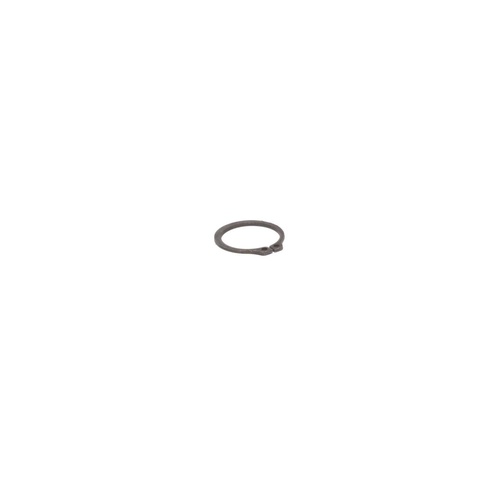 Upgraded Retaining Rings Evolution lifters