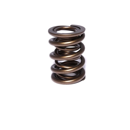 919-1 Engine Valve Spring