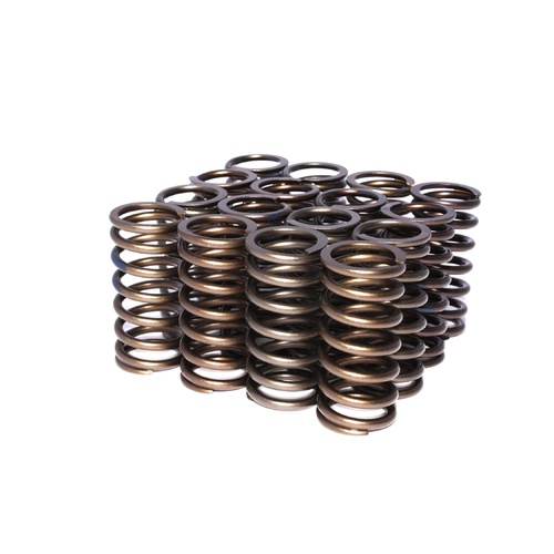 974-16 Engine Valve Spring Kit
