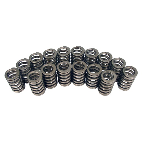 983-16 Engine Valve Spring Kit