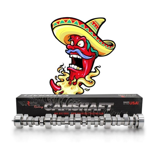 LS1 LS2 LS3 5.7L 6.0L - 221/24x .619"/.617" 113 Red Hot Camshaft, 