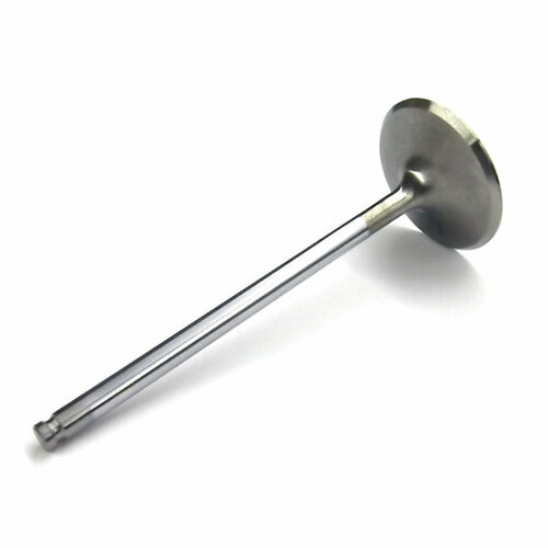 SINGLE LS1 Exhaust valves, 1.600, 4.915, 0.160 Tip, 15 DEG Superflo  Radius Groove, Stainless Set of 8
